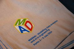 MADEAI_0009