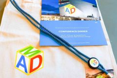 MADEAI_0023