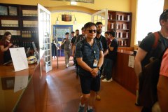 MADEAI_0342