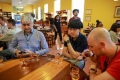 MADEAI_0361