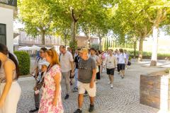 IMG_5073